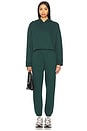 view 5 of 6 Luxe Fleece Sweatpant in Dark Spruce Green