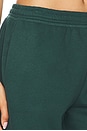 view 6 of 6 Luxe Fleece Sweatpant in Dark Spruce Green