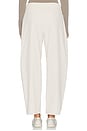 view 5 of 6 Peak Barrel Leg Pant in Riverbed