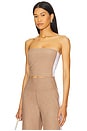view 1 of 5 Spacedye Strapless Stripe Top in Desert Sand Heather & Cloud White