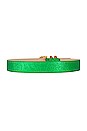 view 2 of 3 Katina Belt in Green