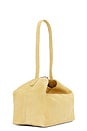 view 3 of 4 Bea Bag in Reed