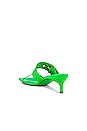 view 3 of 5 Bettina Mule in Super Green
