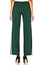 view 3 of 5 Race Track Pant in Green