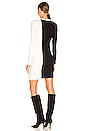 view 4 of 4 Colorblock Sweater Dress in Black & White