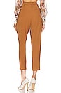 view 3 of 4 Paperbag Trouser in Cashew