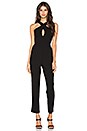 view 1 of 3 Skinny Leg Jumpsuit in Black