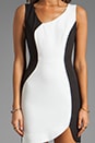 view 5 of 5 Harper Mini Dress in Sugar/Black in Sugar & Black