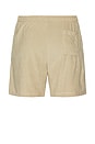 view 2 of 4 SHORTS TOUR in Brown