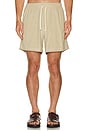 view 3 of 4 SHORTS TOUR in Brown