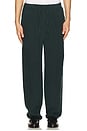 view 3 of 4 Tiber Linen Leisure Pant in Green