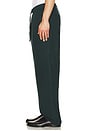 view 4 of 4 Tiber Linen Leisure Pant in Green