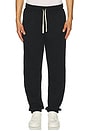 view 3 of 5 Terry Sweatpant in Black