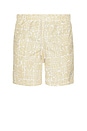 view 1 of 5 Sand Wild Glyph Swim Trunks in Brown