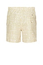 view 2 of 5 Sand Wild Glyph Swim Trunks in Brown