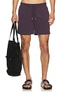 view 1 of 4 Solid Classic Swim Trunk in Solid Plum