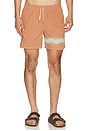 view 1 of 5 SHORT DE BAIN in Madder & Blue