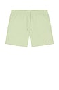 view 4 of 5 Solid Moss Swim Trunks in Moss