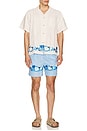 view 3 of 5 SHORT DE BAIN in Regatta