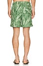 view 2 of 5 Fern Daisy Trip Swim Trunk in Green