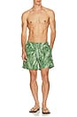 view 3 of 5 Fern Daisy Trip Swim Trunk in Green