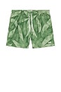 view 4 of 5 Fern Daisy Trip Swim Trunk in Green