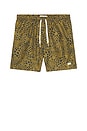 view 5 of 5 Croc Speckle Swim Trunk in Brown