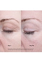 view 4 of 5 Pure Power in 