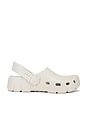 view 1 of 5 ZAPATO BIRKI in Eggshell