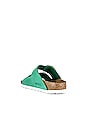 view 3 of 5 Arizona Big Buckle Sandal in Bold Jade