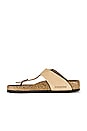 view 5 of 5 Gizeh Big Buckle Sandal in Sandcastle Nubuck