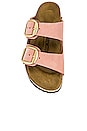 view 4 of 5 SANDALES ARIZONA BIG BUCKLE in Old Rose Nubuck