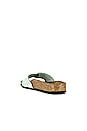 view 3 of 5 Madrid Big Buckle Sandal in Matcha Nubuck