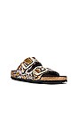 view 2 of 5 Arizona Sandal in Python Brown