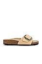 view 1 of 5 Madrid Torty Big Buckle Sandal in Almond