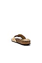 view 3 of 5 Madrid Torty Big Buckle Sandal in Almond
