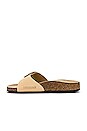 view 5 of 5 Madrid Torty Big Buckle Sandal in Almond