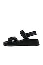 view 5 of 5 Theda Exquisite Sandal in Black