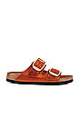 view 1 of 5 ARIZONA BIG BUCKLE サンダル in Burnt Orange