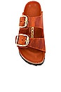 view 4 of 5 ARIZONA BIG BUCKLE サンダル in Burnt Orange