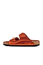 view 5 of 5 ARIZONA BIG BUCKLE サンダル in Burnt Orange