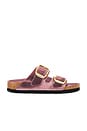 view 1 of 5 Arizona Big Buckle Sandal in Lavender