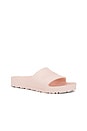 view 2 of 5 PASADOR BARBADOS EVA in Light Rose