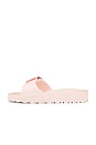 view 5 of 5 Madrid Eva Big Buckle Sandal in Light Rose