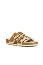 view 2 of 5 Arizona Big Buckle Shearling Sandal in Cognac & Sandcastle