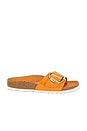 view 1 of 5 Madrid Big Buckle High Shine Sandal in Kurkuma