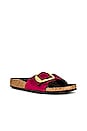 view 2 of 5 Madrid Big Buckle Sandal in Maroon