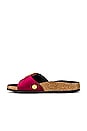 view 5 of 5 Madrid Big Buckle Sandal in Maroon