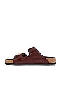 view 5 of 5 Arizona Big Buckle Sandal in High Shine Chocolate