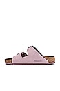 view 5 of 5 Arizona Big Buckle Sandal in Yomo Lilac